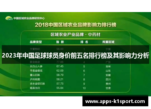 2023年中国足球球员身价前五名排行榜及其影响力分析