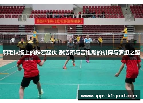 羽毛球场上的跌宕起伏 谢浩南与曾维瀚的拼搏与梦想之路