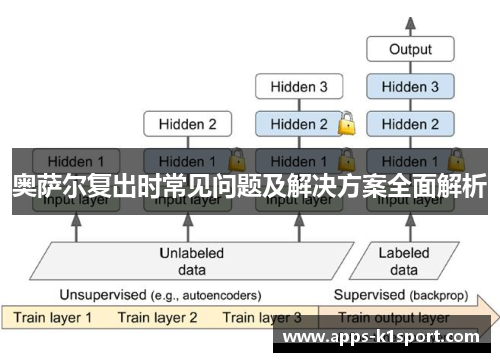 奥萨尔复出时常见问题及解决方案全面解析