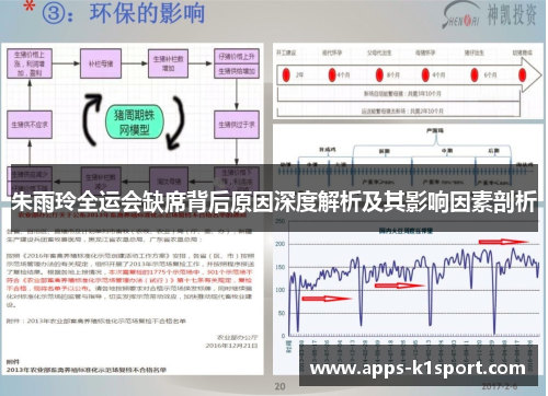 朱雨玲全运会缺席背后原因深度解析及其影响因素剖析