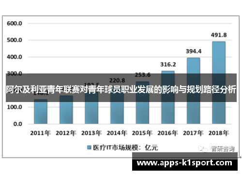 阿尔及利亚青年联赛对青年球员职业发展的影响与规划路径分析
